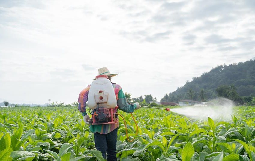  Call for EU to ban sale of pesticides already outlawed in the bloc | News