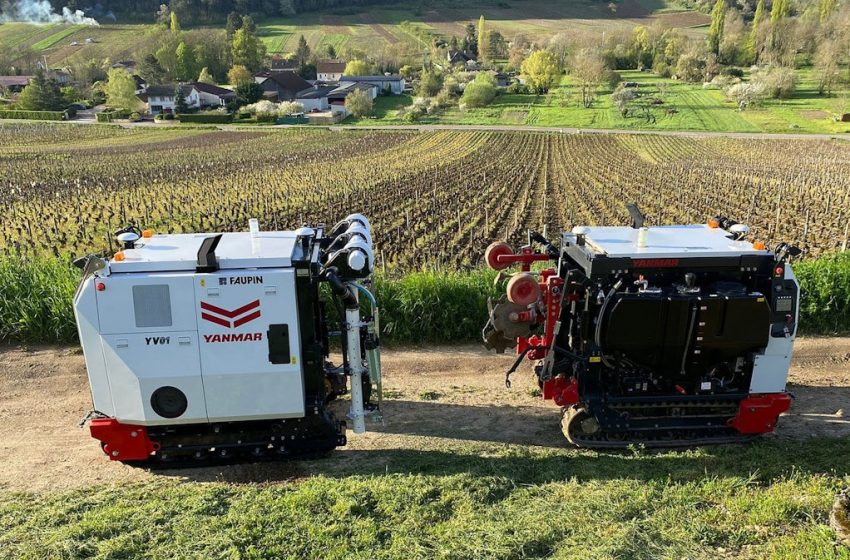  Champagne Maker Partners with Vineyard Solutions Firm on Advanced Robotics