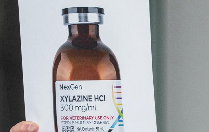  Conjugate vaccine curbs xylazine effects in mice | Research