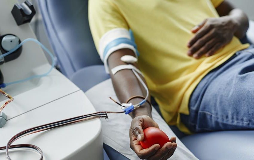  Microbial enzymes cut a path towards universal blood for transfusions | Research