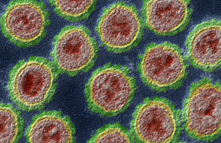  New Mutations Identified in Bird Flu Virus
