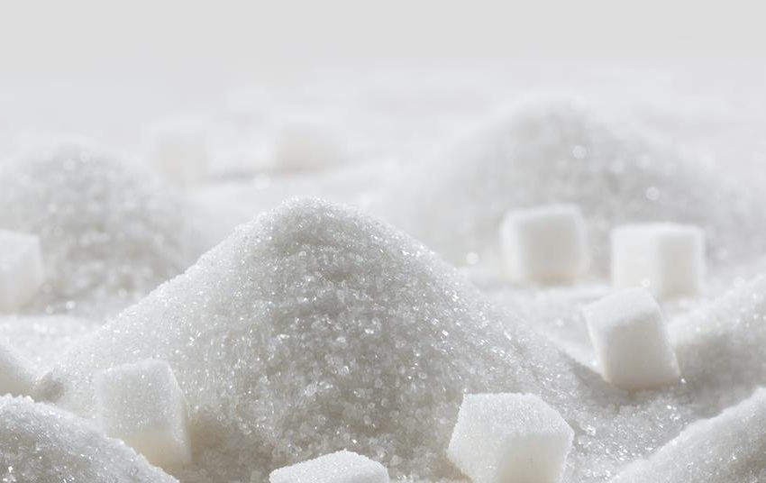  Precious metal-free catalyst conjured using sugar can turn CO2 into chemical feedstock | Research