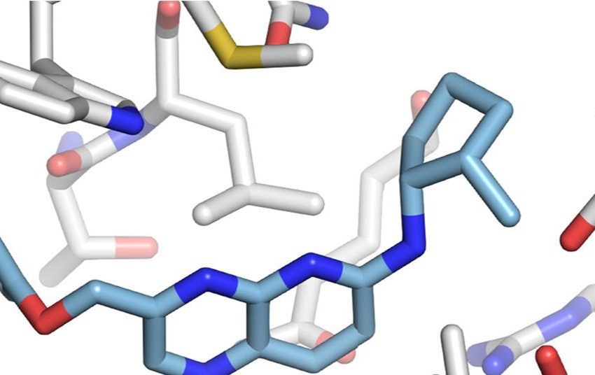  Screening reveals thousands of ‘undrugged, yet druggable’ proteins | Research