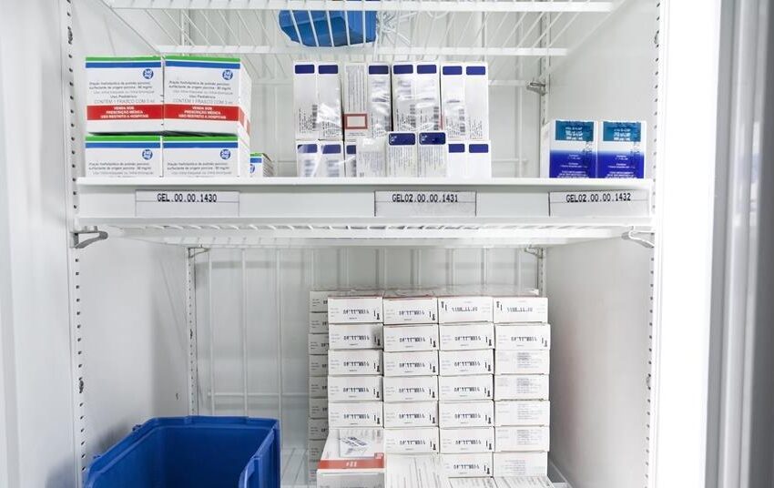  Drugs and vaccines could be freed from cold chains by hydrogel | Research