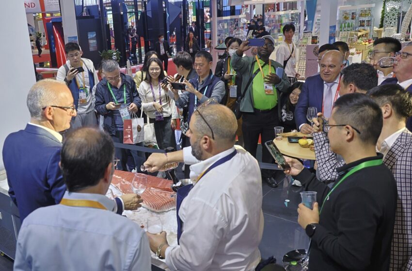  Neueste Informationen über die 7. China International Import Expo