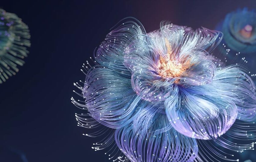  Citation analysis reveals potential Nobel prize winners for 2025 | Chemistry World