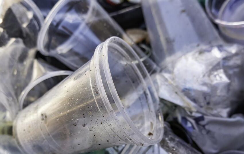 PET plastic waste converted into carbon dioxide capture material | Chemistry World